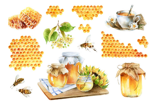 Big watercolor set on theme of honey Big beautiful set of design elements on theme of honey. Watercolor clip art honeycomb animal creation stock illustrations