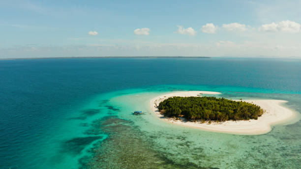 istock Tropical island with sandy beach. Balabac, Palawan, Philippines 1291397294