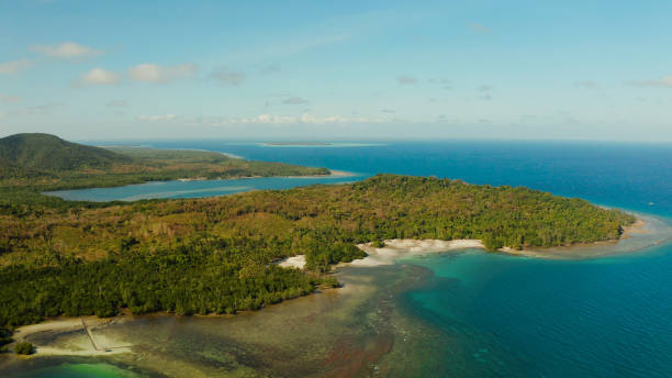 istock Coastline on the tropical island. Balabac island, Palawan 1291399095