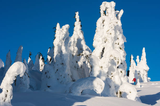 istock Ski touring in a winter wonderland 1291401834