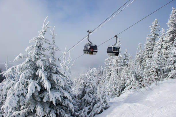 istock Whistler scenery in winter 1291402062