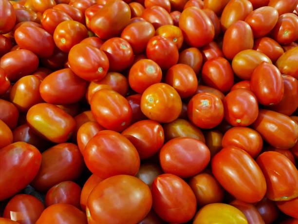 istock background for red tomato agricultural production themes 1291402414