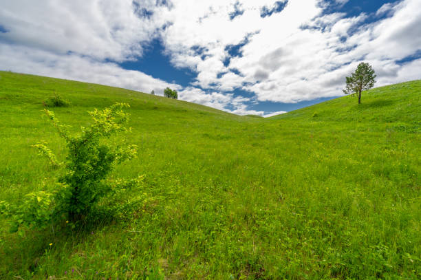 istock Spring photography, meadows, fields, ravines, hills, rural landscape. A deep, narrow gorge with steep slopes. A naturally raised area of ââland, not as high or craggy as a mountain. 1291406600