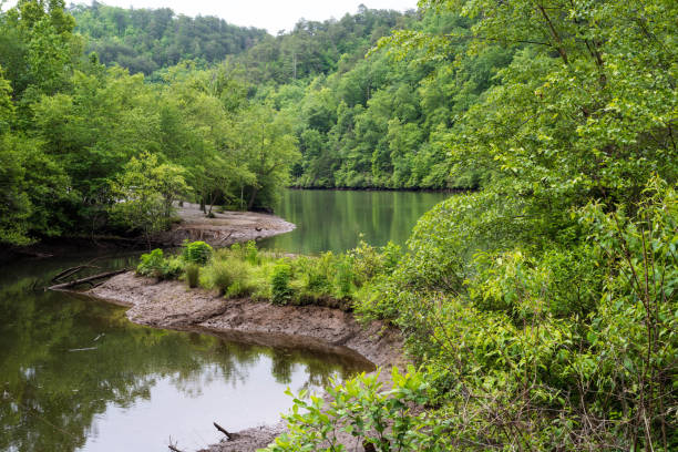 istock The smooth sections of the Ocoee River creating lakes 1291410269
