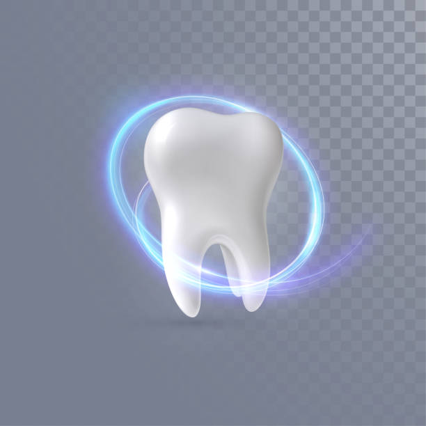 realistischer 3d-zahn - menschlicher zahn stock-grafiken, -clipart, -cartoons und -symbole