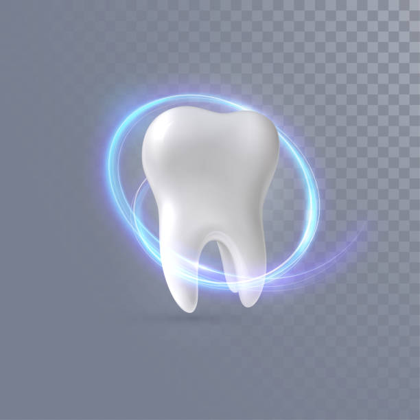 ilustrações, clipart, desenhos animados e ícones de dente 3d realista - human teeth