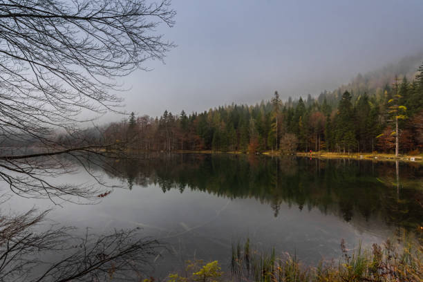 istock beautiful lake with clear water an reflection from the forest 1291413654