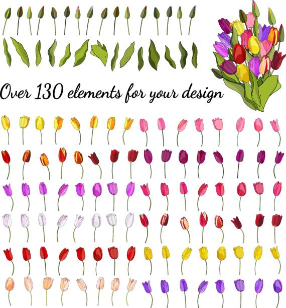istock Beautiful Wild blooming tulip set in a hand drawing style. 1291417577