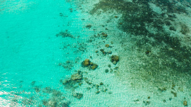 istock Transparent blue sea water in the lagoon 1291418453