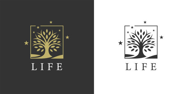 Tree of life icon Tree of life icon. Nature symbol. Oak tree emblem. Environment sign. Vector illustration. tree stock illustrations