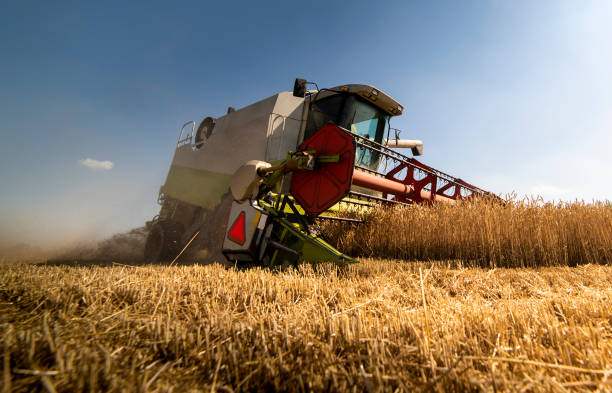istock A combine harvester working in a wheat field 1291419647