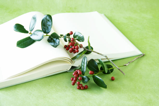 istock Ilex cornuta---Christmas Holly and book 1291420036