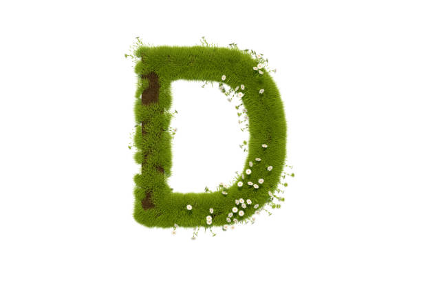 istock Letter D with Grass and Flowers Uppercase 1291421267