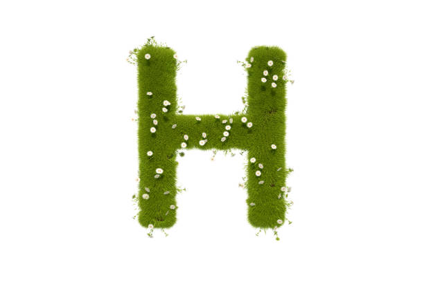 잔디와 꽃 대문자 문자 h - letter h alphabet three dimensional shape green 뉴스 사진 이미지