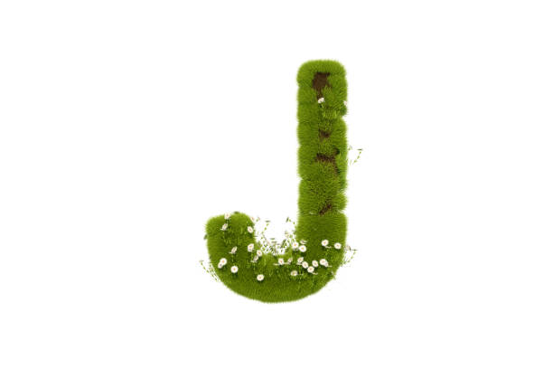 istock Letter J with Grass and Flowers Uppercase 1291421349