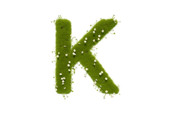 buchstabe k mit gras und blumen großbuchstaben - letter k alphabet three dimensional shape green stock-fotos und bilder