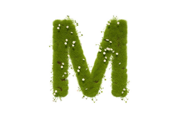 letter m with grass and flowers uppercase - letter m alphabet color image flower imagens e fotografias de stock