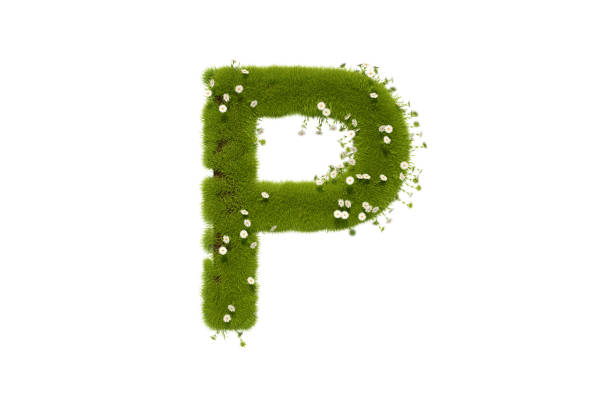 istock Letter P with Grass and Flowers Uppercase 1291421519