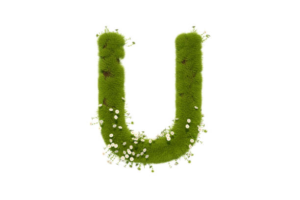 Letter U with Grass and Flowers Uppercase