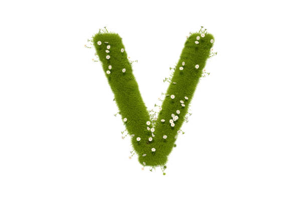 istock Letter V with Grass and Flowers Uppercase 1291421715