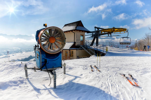 10+ Harenda Stock Photos, Pictures & RoyaltyFree Images iStock