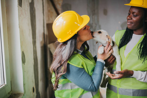 istock Female engineer holding a dog 1291423333