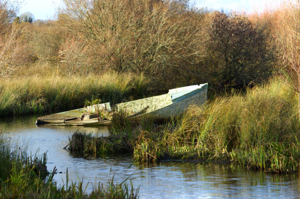 Boat that rots in a swamp near the sea during autumn