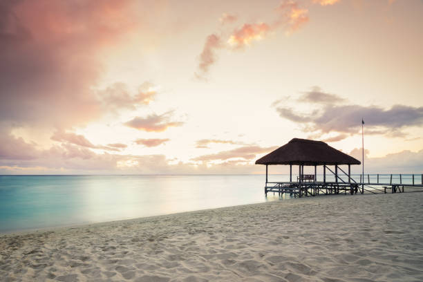istock Pier over the indian ocean at sunset 1291427424