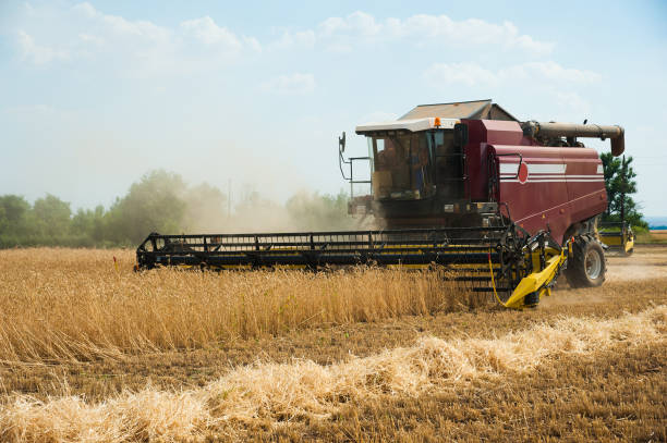 istock Combine harvesters in a field of wheat 1291428720