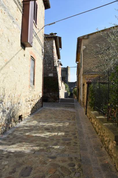 istock Monteriggioni, an Italian medieval town 1291428930