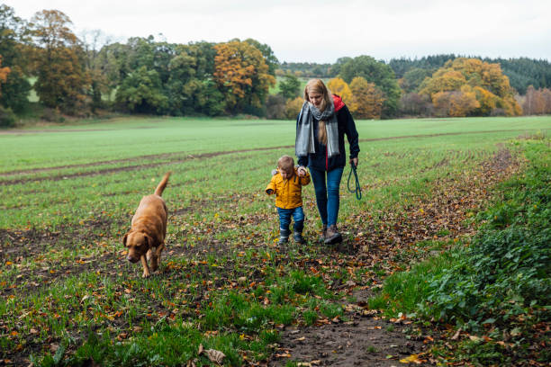 istock Walking The Dog Together 1291429791