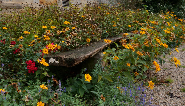 istock A bench in an old monastery garden. 1291430412