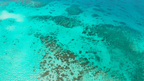 istock Transparent blue sea water in the lagoon 1291431721