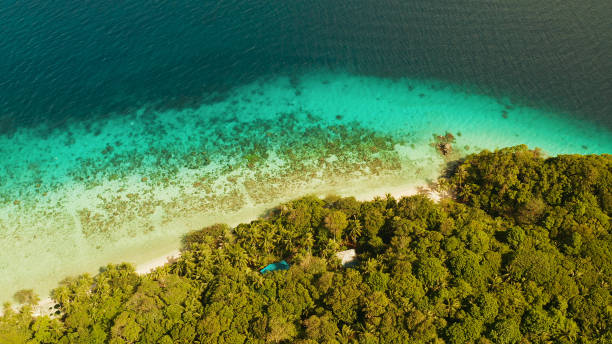 istock Landscape with coconut trees and turquoise lagoon 1291432601