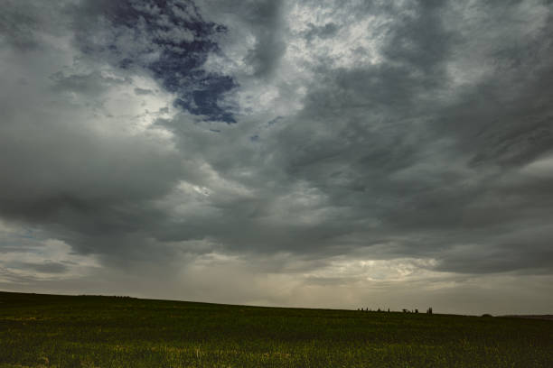 istock Winter landscape in Israel. Rain. 1291434556