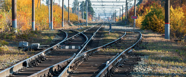 istock Railway station in a beautiful autumn forest with colorful trees. 1291435636