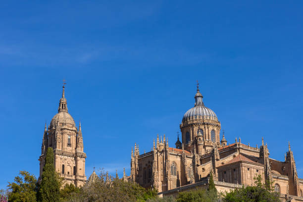 istock Salamanca Cathedral, Spain 1291436845