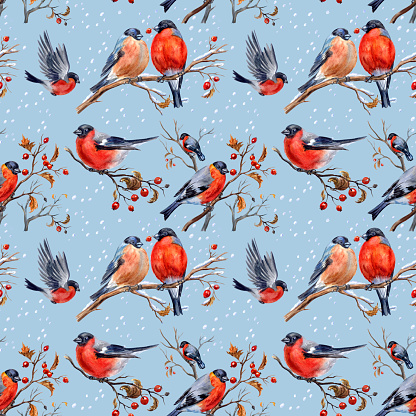 Bullfinches seamless pattern, watercolor illustration, New Year, Christmas print for fabric, background for various designs.