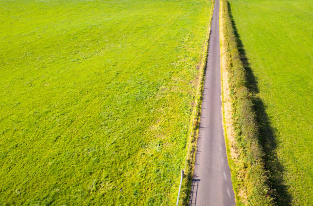 istock Straight rural singletrack road 1291440485