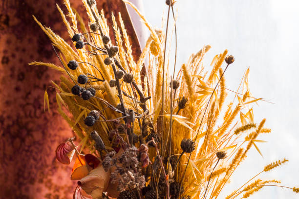 istock Dry flowers and plants 1291441428