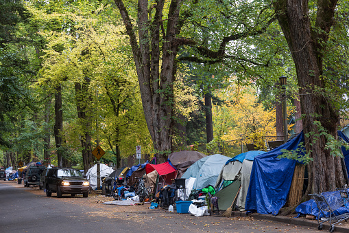 A large homeless camp at Laurelhurst Park in Portland, Oregon. Laurelhurst Park is at the center of one of Portland's most affluent neighborhoods. Photo taken on 10-29-2020