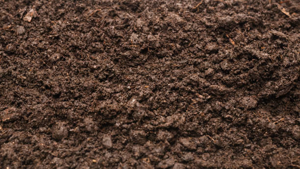 istock Black land for plant background. 1291446638