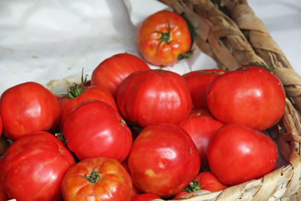 istock Italian Tomatoe basket 1291446801