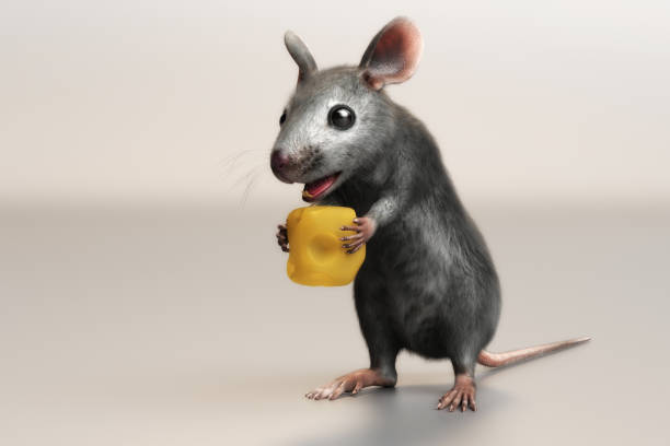 istock 3D Illustration of a house mouse Mus musculus 1291449416