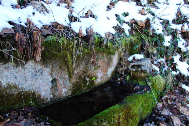 istock Abandoned watering can for cattle. A stone trough where there is water that is overgrown with moss. It is winter and there is snow all around. Zavidovici, Bosnia and Herzegovina. 1291450943