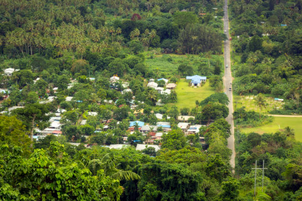istock Village on Efate Island 1291454665