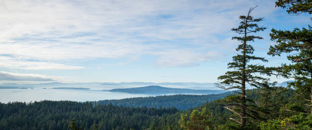 istock Southern Gulf Islands Hilltop Vista 1291458913