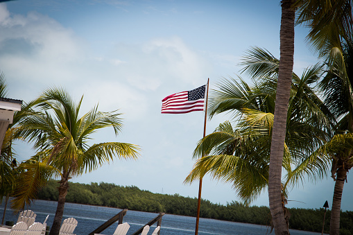 A US flag flaps in the wind beside palm trees in the Florida Keys.