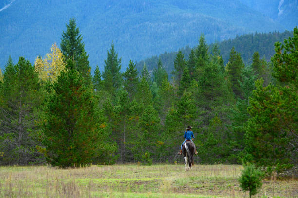 istock Woman riding her horse at a ranch 1291460762