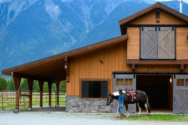 weibliche rancherin arbeitet mit ihrem pferd - working horse stock-fotos und bilder